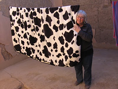 cow blanket